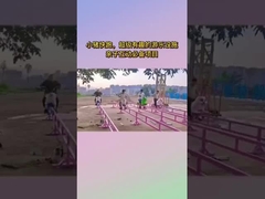 Zone pittoresque équipement de divertissement non alimenté, célébrité d'Internet Petit cochon court parc d'attractions Childr